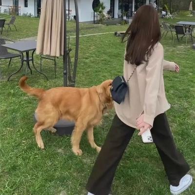 停车场故事