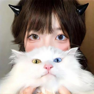 绅士布朗科